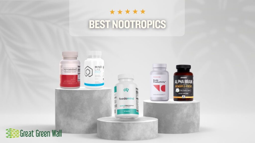 Best Nootropics 2024 Ingredients, Evidence, and WARNINGS Great