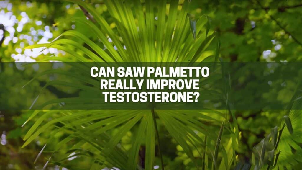 Will Saw Palmetto Really Improve My Testosterone? WARNING and